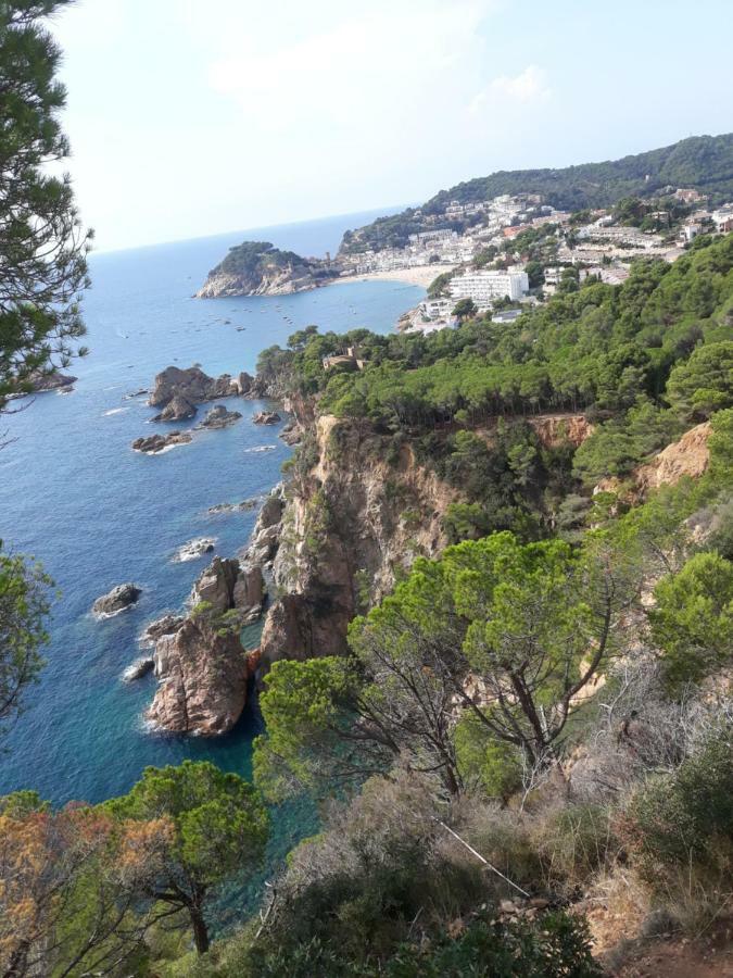 Apartamento Martin Tossa de Mar Eksteriør bilde